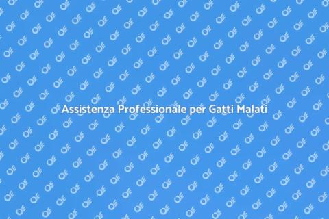 Cat Sitter Esperto per Gatti Malati
