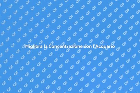 Acquario per la Concentrazione