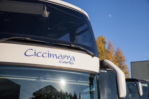Ciccimarra Carlo e Figli Srl  - Foto 5