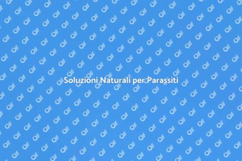 Disinfestazione Termica Efficace