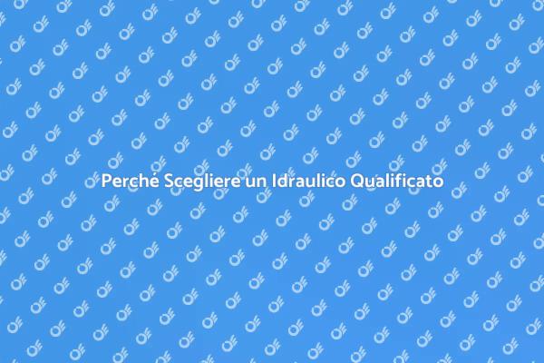L'importanza di un Idraulico Esperto