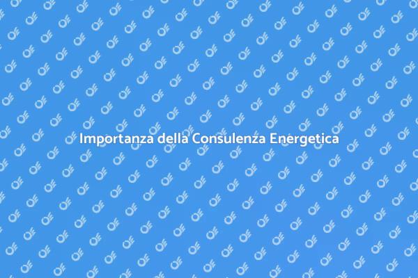 Efficacia della Consulenza Energetica