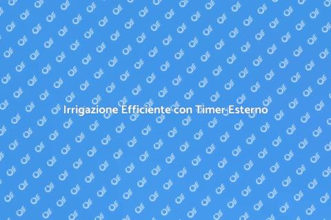Timer per Irrigazione da Esterno