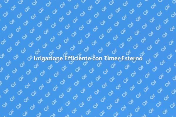Giardino Perfetto con un Timer