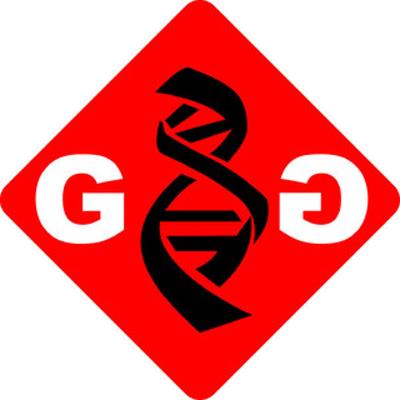 G&G Design