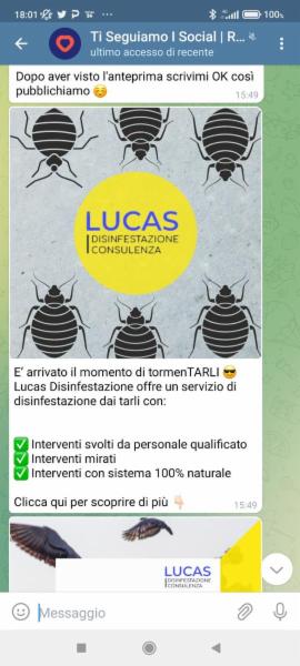 Lucas Disinfestazione  - Foto 11