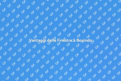 Finestre a Bovindo: Estetica e Comfort