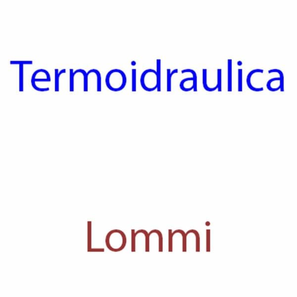 Termoidraulica Lommi  - Foto 1