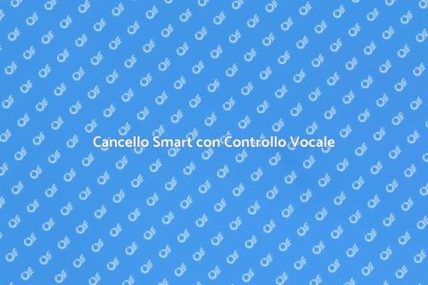 Cancello Automatico e Controllo Vocale