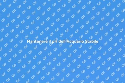 pH Stabile nell'Acqua dell'Acquario