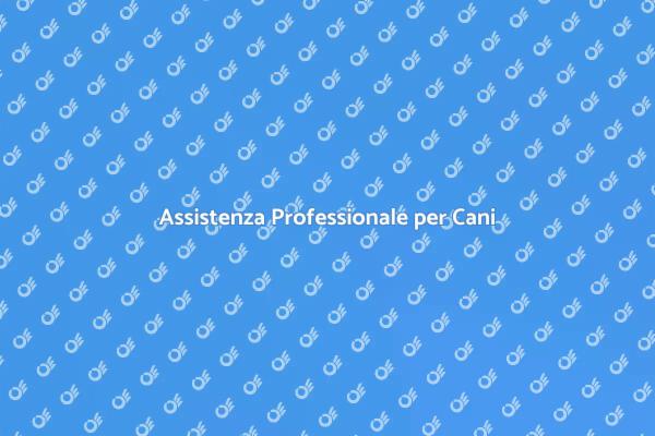 Cura Professionale per il Tuo Cane
