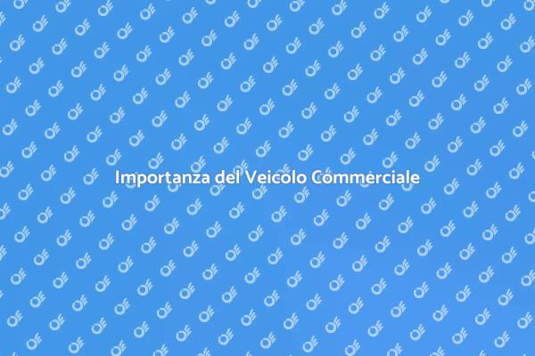 Veicolo Commerciale per Professionisti