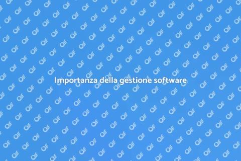 Gestione ciclo vita software efficace