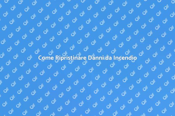 Rimettere in Piedi Dopo un Incendio
