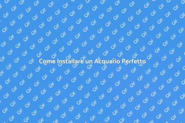 Trasforma la Tua Casa con un Acquario