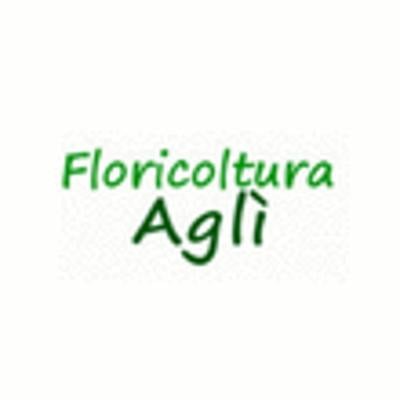 Floricoltura Agli' di Agli' Luca  - Foto 1
