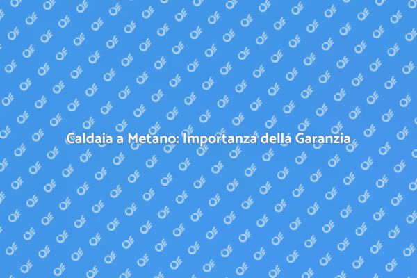 Caldaia a Metano: Garanzia e Comfort