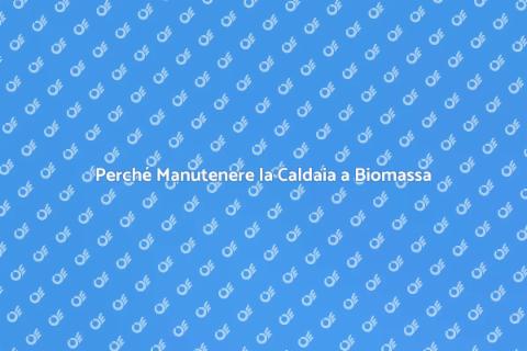 Manutenzione Caldaia a Biomassa
