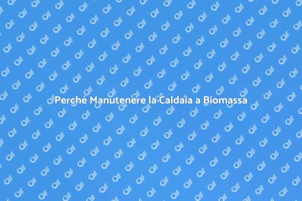 Manutenzione Efficiente della Caldaia