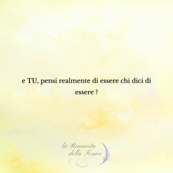 Domenico Ponticelli - Foto 8