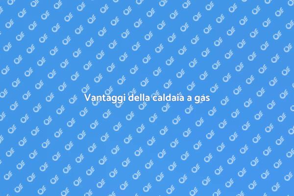 Caldaia a gas: comfort e risparmio