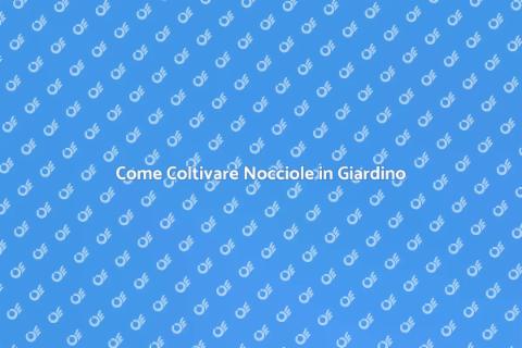 Allestire un Frutteto di Nocciole