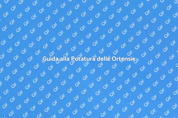 Potatura Ortensie: Segreti per Fioriture