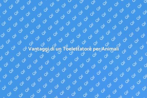 Ingaggiare un Toelettatore Esperto