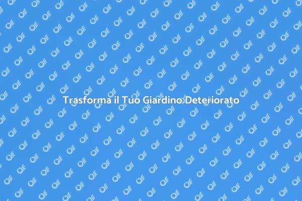 Rinnova il Tuo Giardino Oggi!