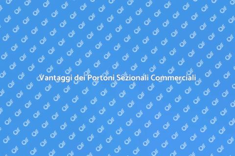 Portoni Sezionali per Edifici Commerciali