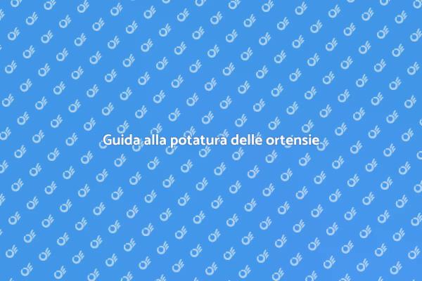 Potatura: cura per ortensie rigogliose