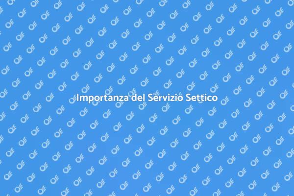 Servizio Settico: Fondamentale per la Casa