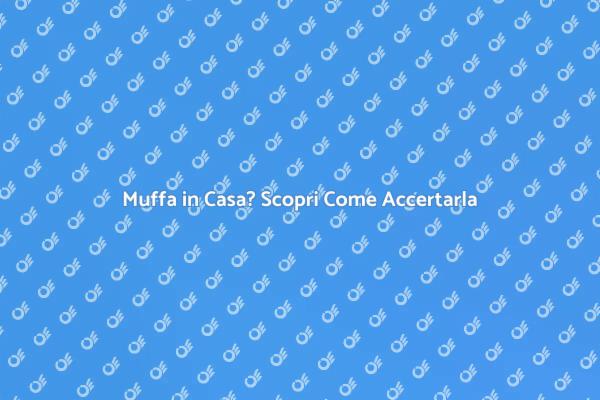 Combatti la Muffa: Ecco Come Fare