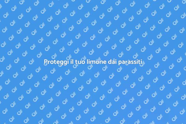 Difendi il limone dai parassiti dannosi