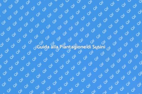 Piantare un Albero di Susine