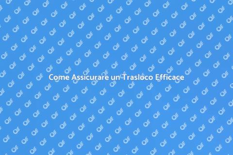 Trasloco Sicuro con Professionisti