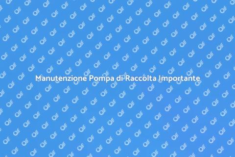 Assistenza Pompa di Raccolta Essenziale