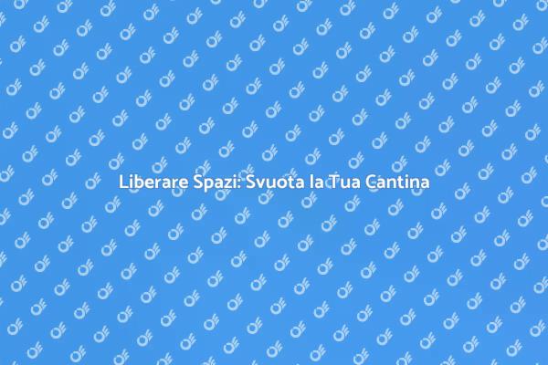 Svuotare Cantine: Ordine e Funzionalità