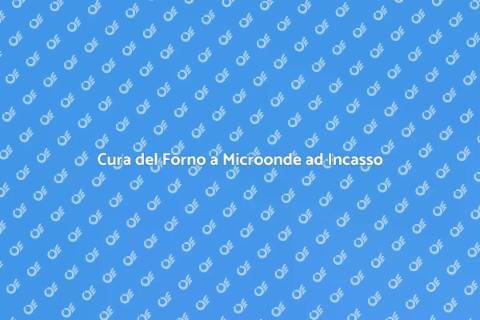 Manutenzione Forno a Microonde
