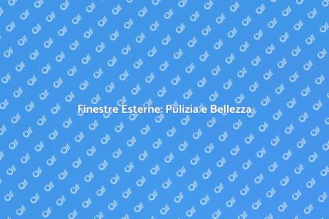 Pulizia Finestre Esterne: Magia e Bellezza