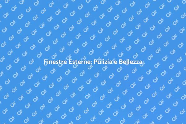 Magia e Bellezza delle Finestre Pulite
