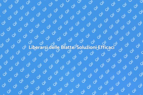 Come Eliminare le Blatte in Casa