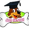 Dog School Catania