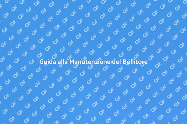 Manutenzione Essenziale per Bollitori