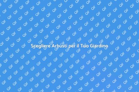 Arbusti per il Giardino: Guida Essenziale