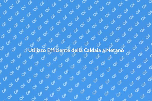 Guida Pratica alla Caldaia a Metano