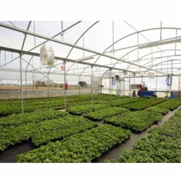Il Giardino nel Canneto  - Foto 3