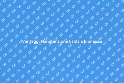 Manutenzione Caldaia Biomassa Vantaggi