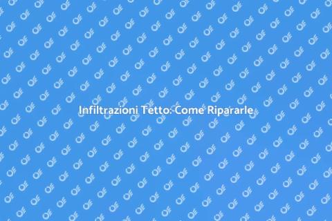 Riparazione Infiltrazioni Tetto: Guida