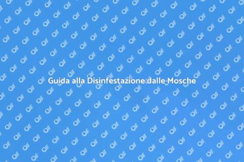 Disinfestare un'Area Pubblica dalle Mosche